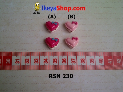 rsn 230  large2